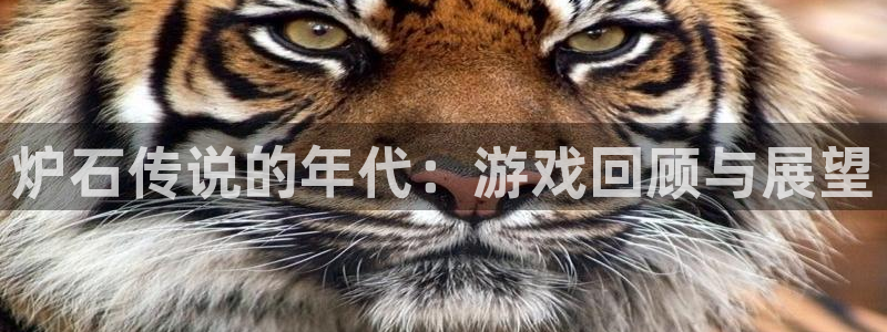 db电竞子怎么来的：炉石传说的年代：游戏回顾与展望