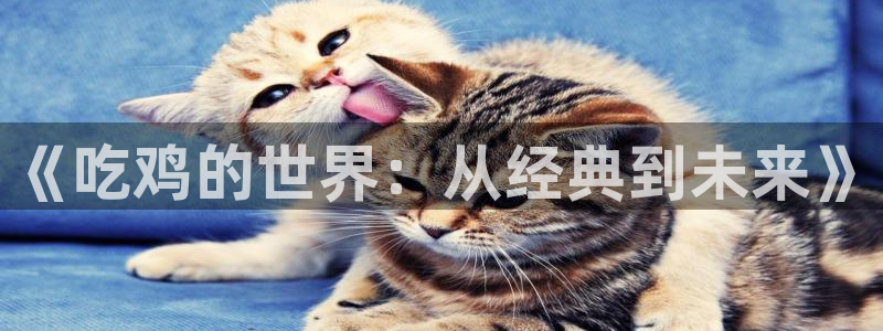 db电竞官网分红：《吃鸡的世界：从经典到未来》