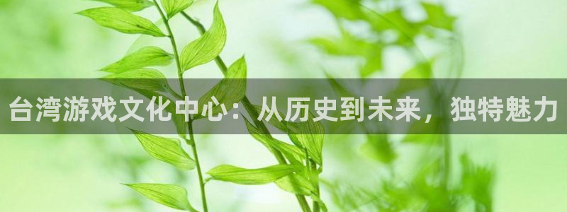 db电竞官网客服电话号码：台湾游戏文化中心：从历史到未来，独特魅力