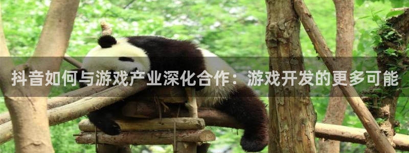 db电竞子经理人读后感：抖音如何与游戏产业深化合作：游戏开发的更多可能