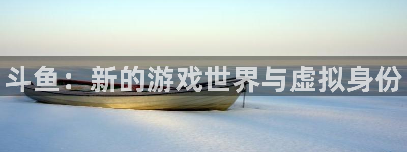 lvncesdb电竞衣服价格：斗鱼：新的游戏世界与虚拟身份
