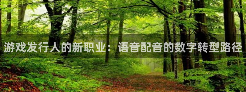 db电竞电子商务有限公司招聘：游戏发行人的新职业：语音配音的数字转型路径