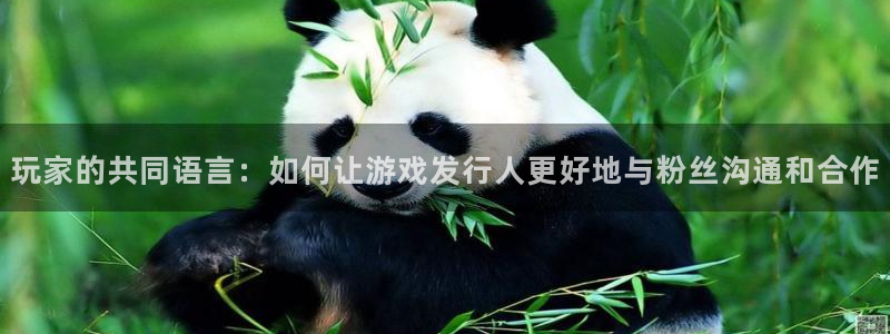db电竞怪兽：玩家的共同语言：如何让游戏发行人更好地与粉丝沟通和合作
