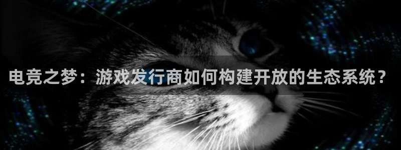 db电竞智邦