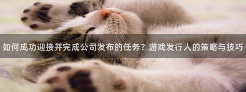 db电竞子最好看的小说：如何成功迎接并完成公司发布的任务？游戏发行人的策略与技巧
