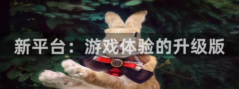 db电竞官网登录注册不了账号：新平台：游戏体验的升级版