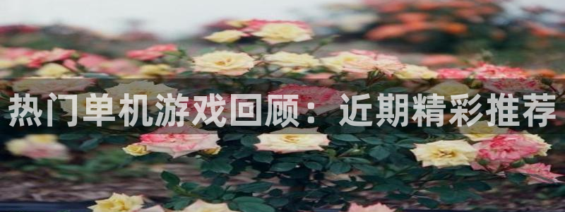 db电竞集团董事长刘一辰简历