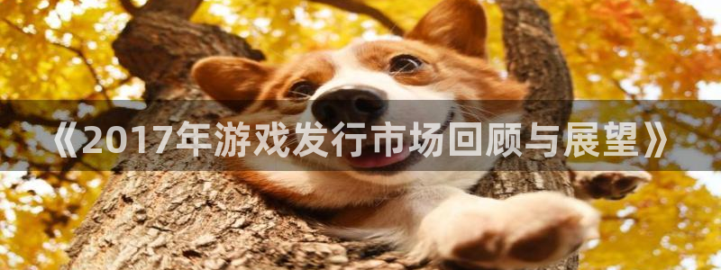 db电竞官网注册平台官网登录：《2017年游戏发行市场回顾与展望》