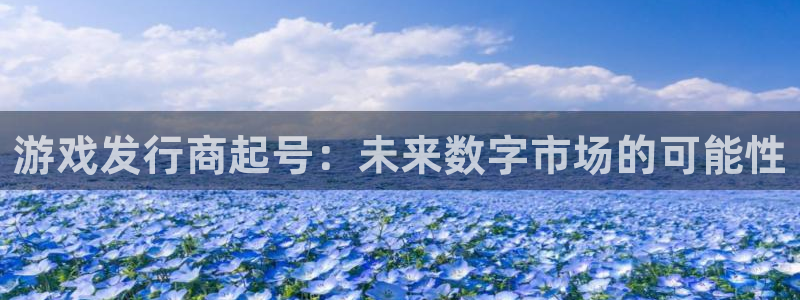 db电竞官网注册平台怎么样：游戏发行商起号：未来数字市场的可能性