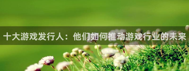 db电竞官网注册平台怎么样啊：十大游戏发行人：他们如何推动游戏行业的未来