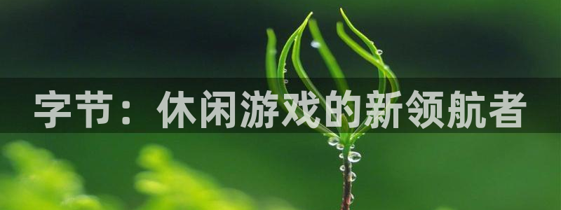 db电竞官网注册登录失败：字节：休闲游戏的新领航者
