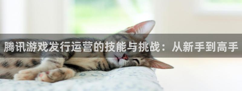 db电竞的所有小说