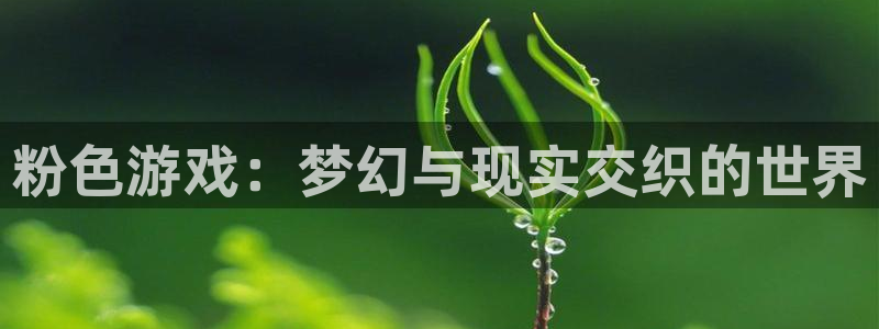 db电竞官网登录注册不了怎么办