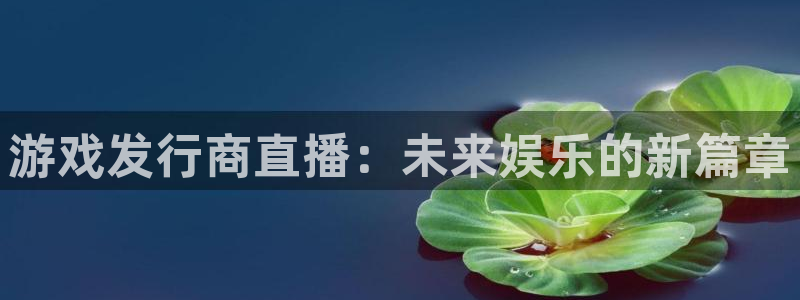 db电竞集团有限公司